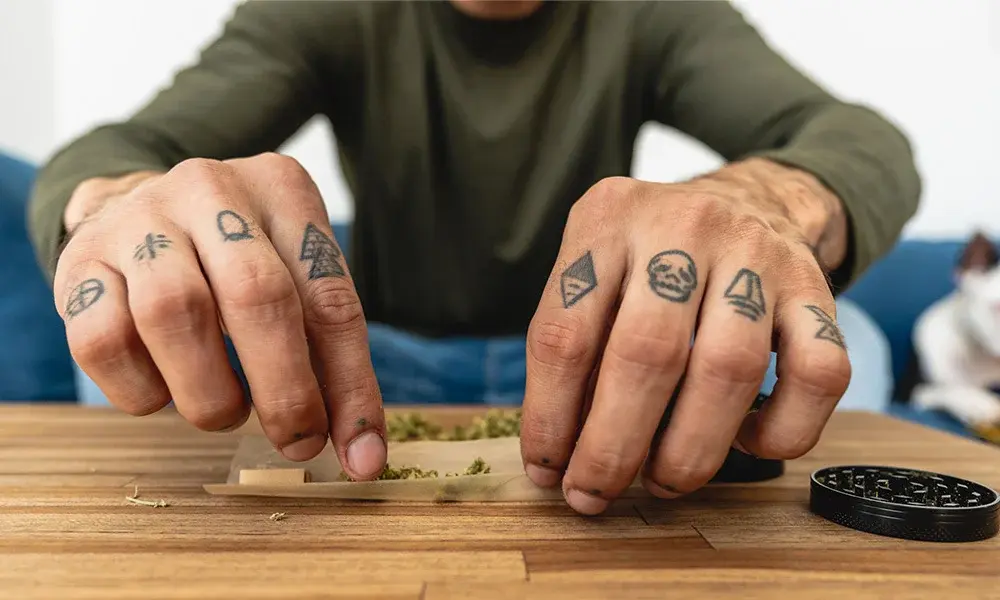 special 3307286 photo